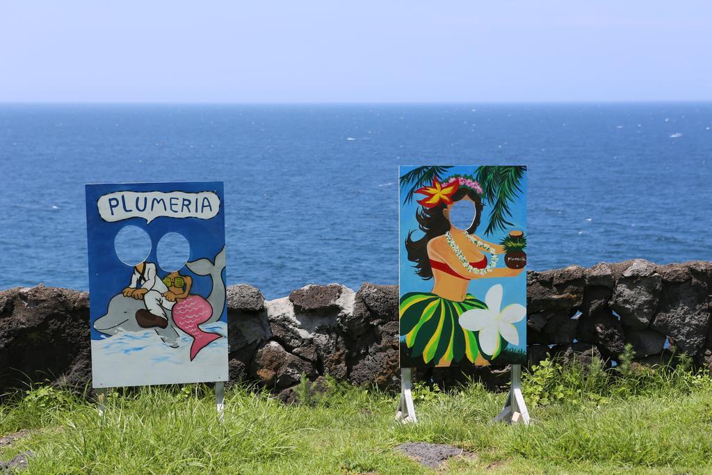Plumeria Pension 济州市 外观 照片